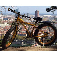 Ladda bilden i galleriets tittare, VTT électrique Fat Bike - PIE TECHNOLOGIE